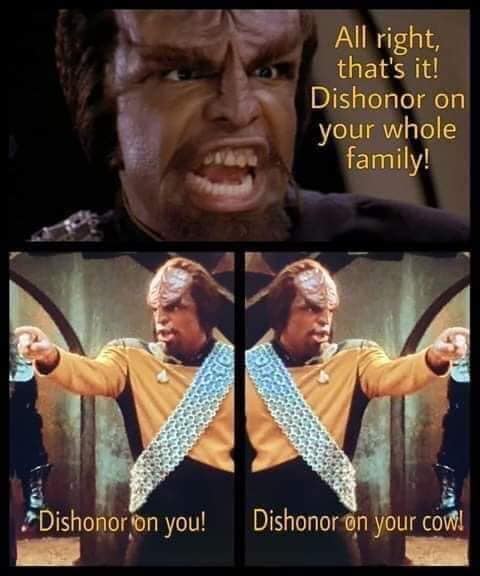 The meme is a screenshot from the Star Trek: Deep Space Nine episode "The Way of the … ", where the character Worf says "Dishonor on your family!" and then "Dishonor on your … !" The text "Dishonor on your family" is written above the image, and the rest of the text "Dishonor on your … !" is written below the image.